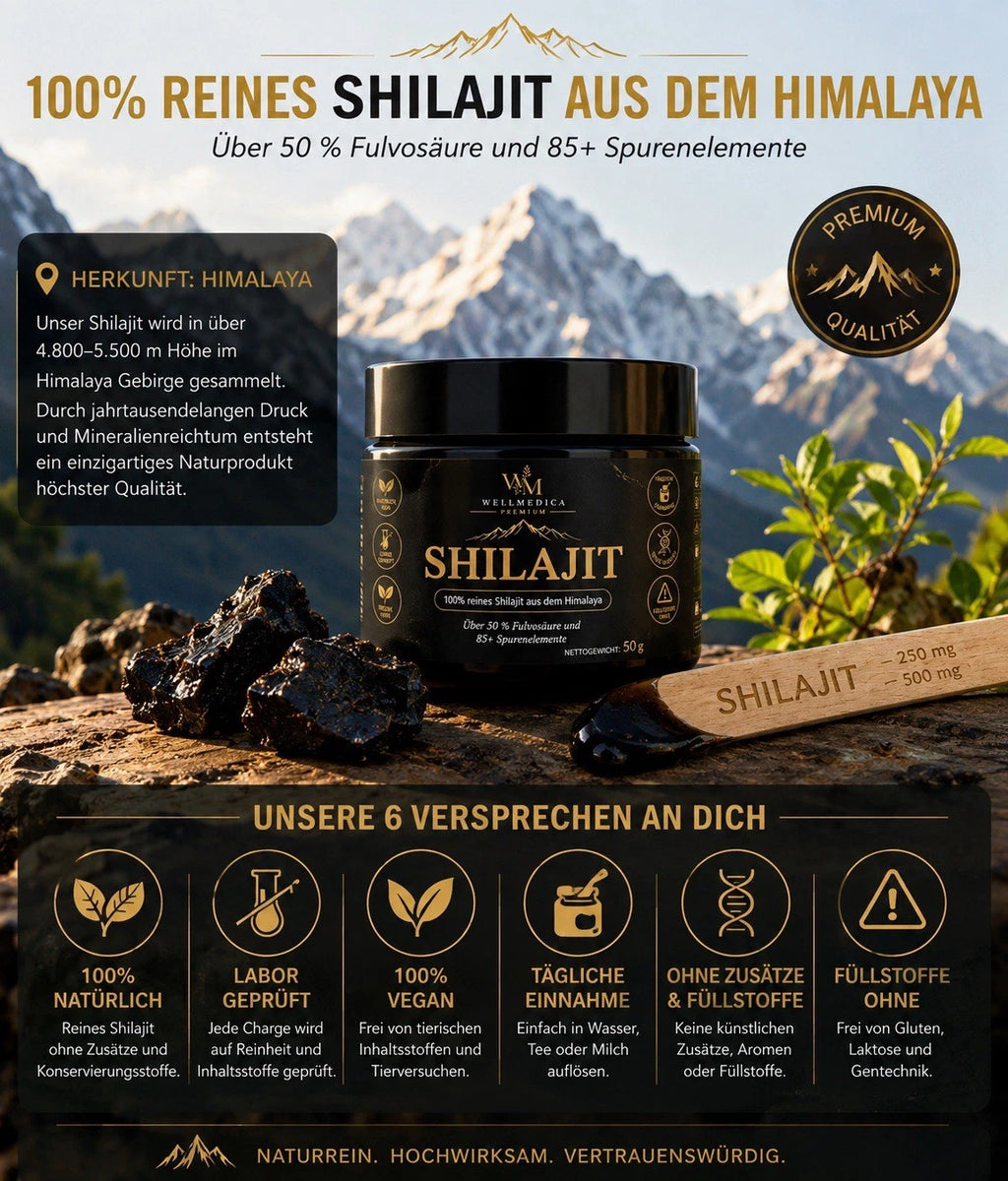 Shilajit Harz – Verpackung / Produktfoto (Ansicht 3)
